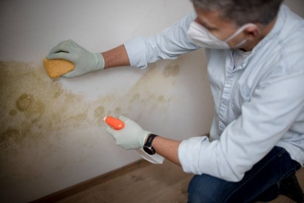 Best Biohazard Mold Removal  in Tullytown, PA